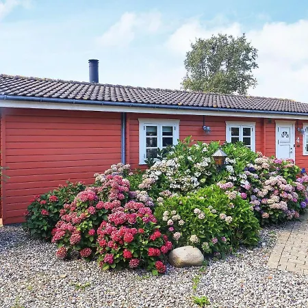 Brenderup Fyn Vi * Skovs-Hojrup
