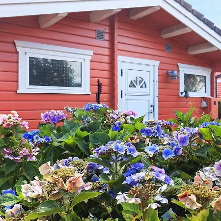 Brenderup Fyn Vi * Skovs-Hojrup